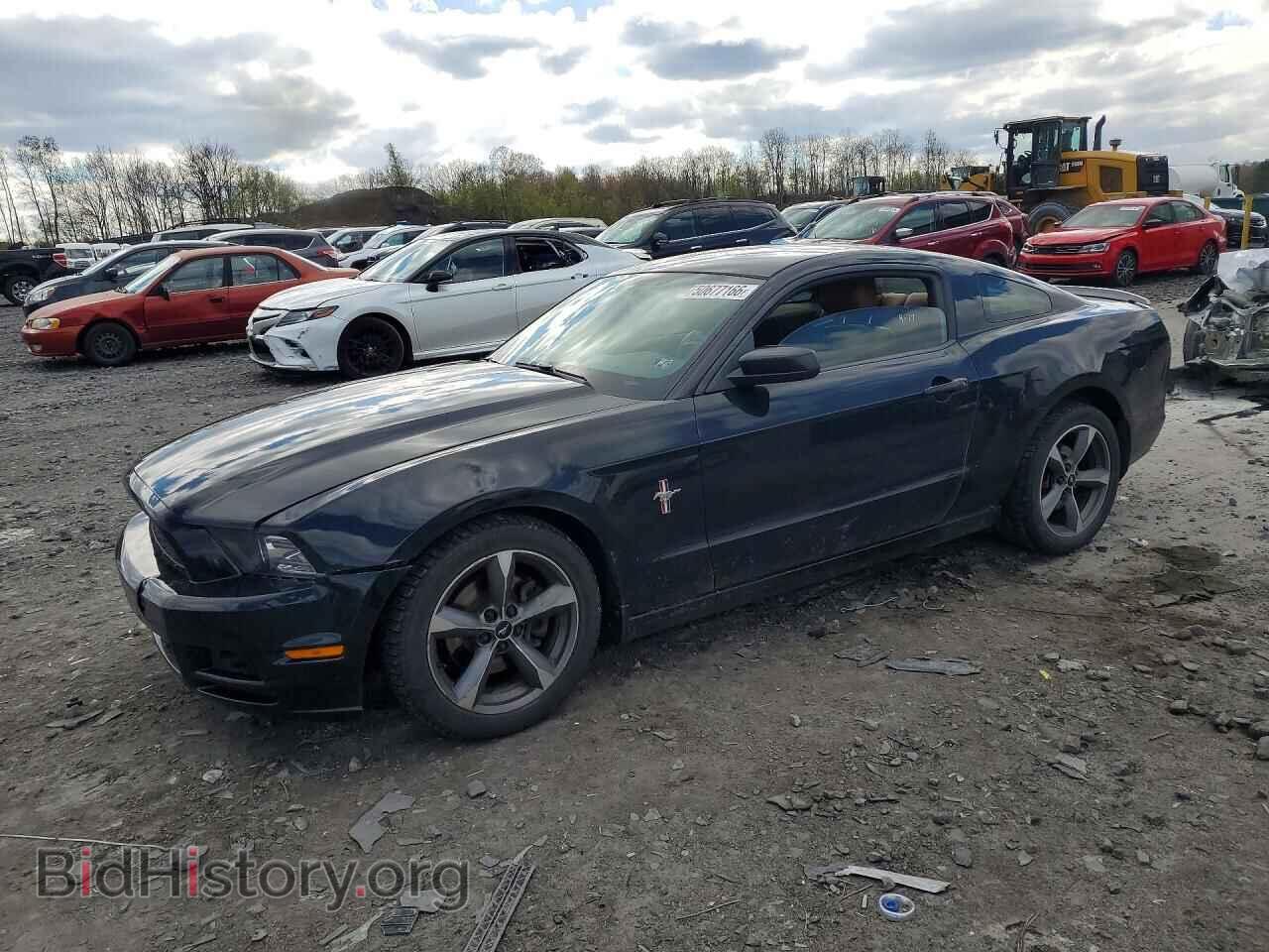 Фотография 1ZVBP8AM4E5255679 - FORD MUSTANG 2014