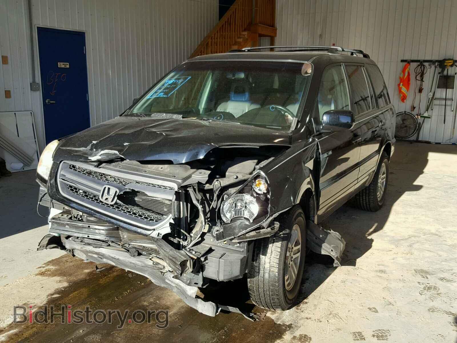 2005 HONDA PILOT - VIN: 2HKYF18665H516356 - Фото 2