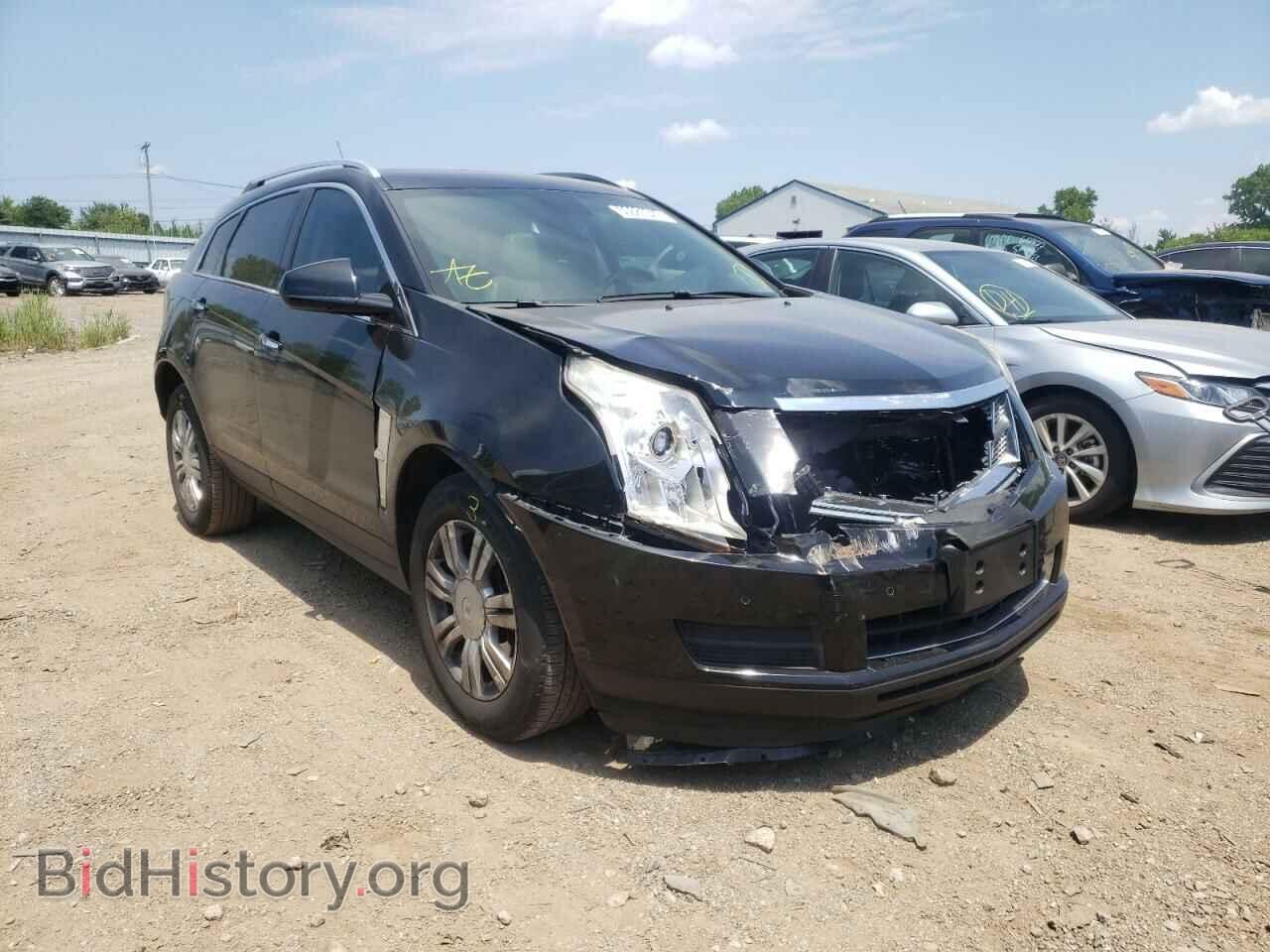 Фотография 3GYFNAEY2AS574281 - CADILLAC SRX 2010