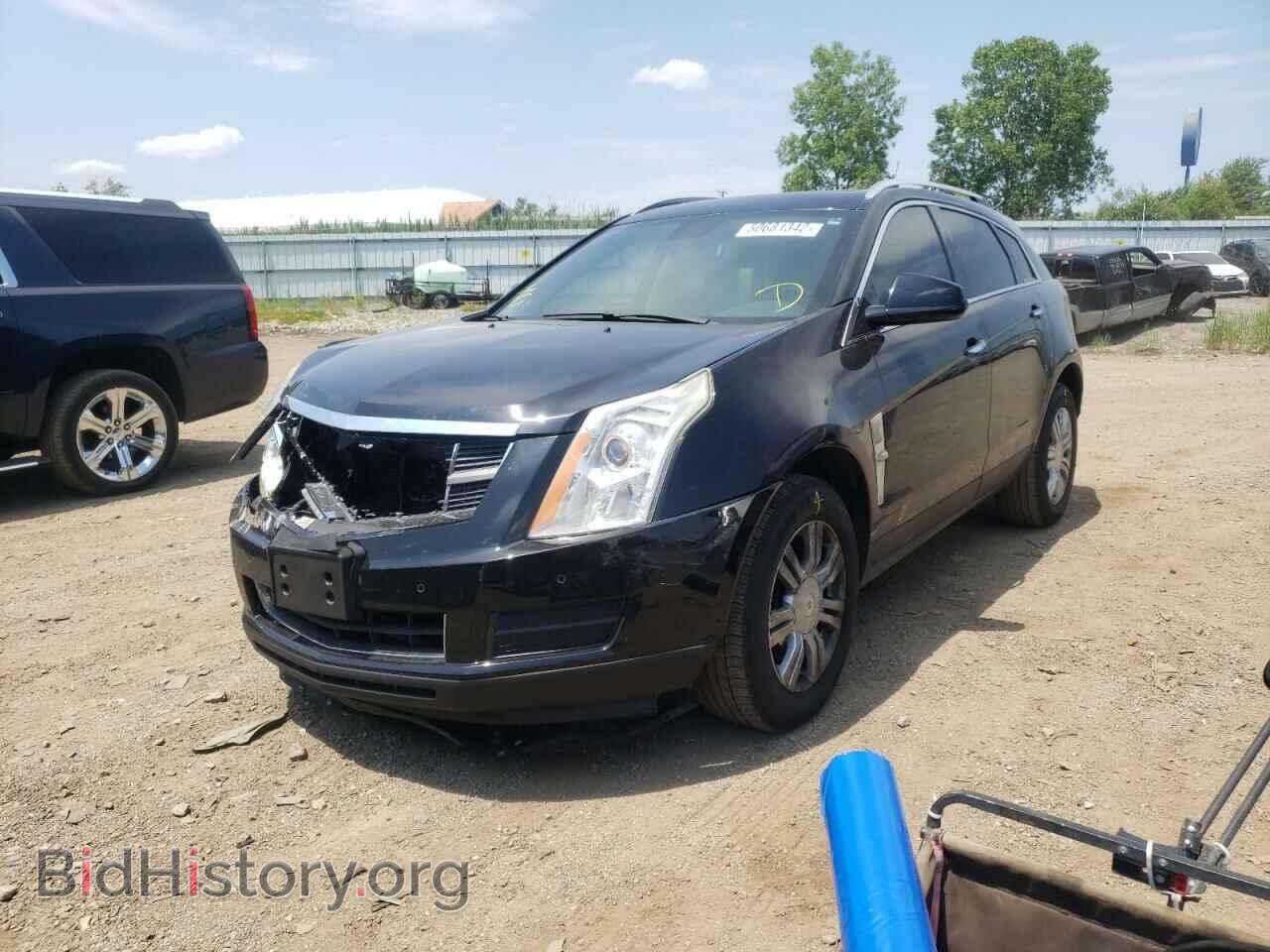 2010 CADILLAC SRX - VIN: 3GYFNAEY2AS574281 - Фото 2