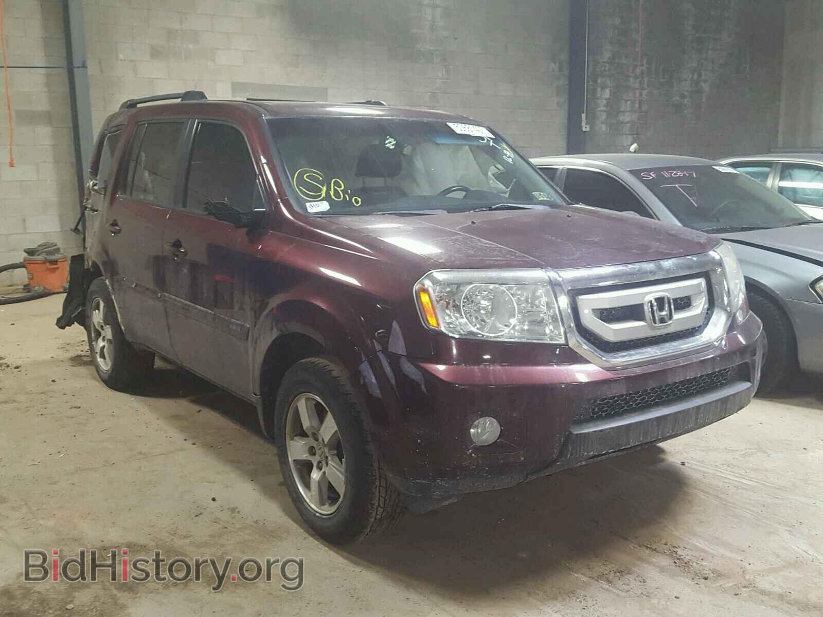 Фотография 5FNYF4H6XAB020342 - HONDA PILOT 2010