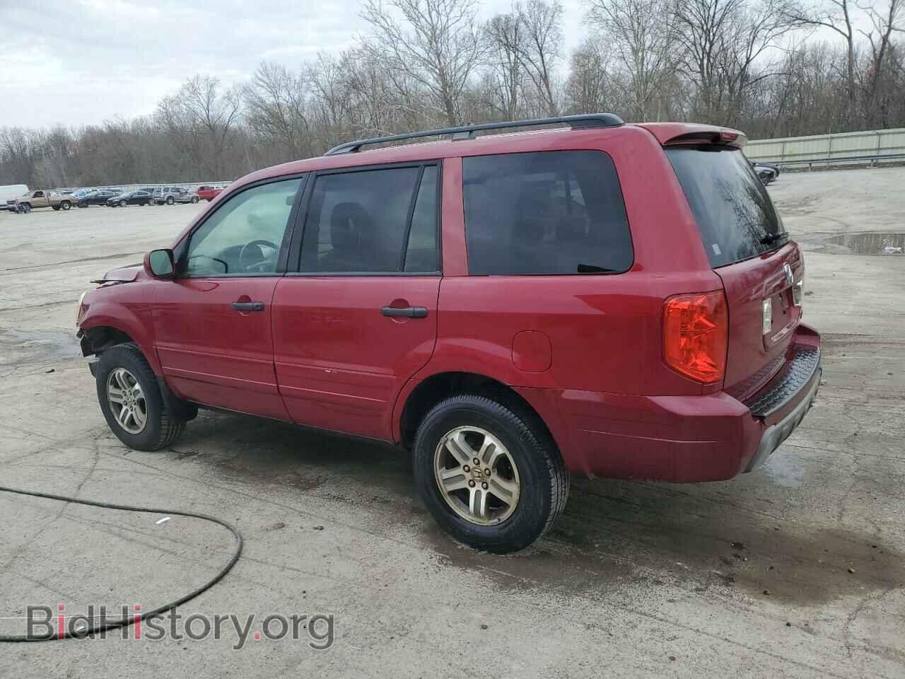 2005 HONDA PILOT - VIN: 5FNYF18585B060379 - Фото 2