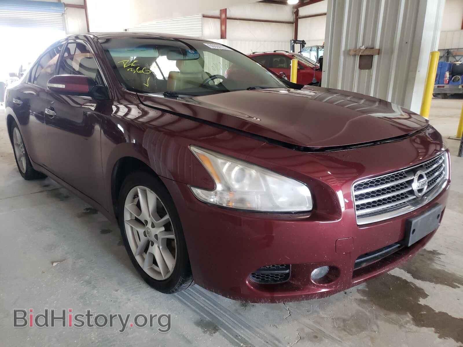 Photo 1N4AA5AP1AC818854 - NISSAN MAXIMA 2010