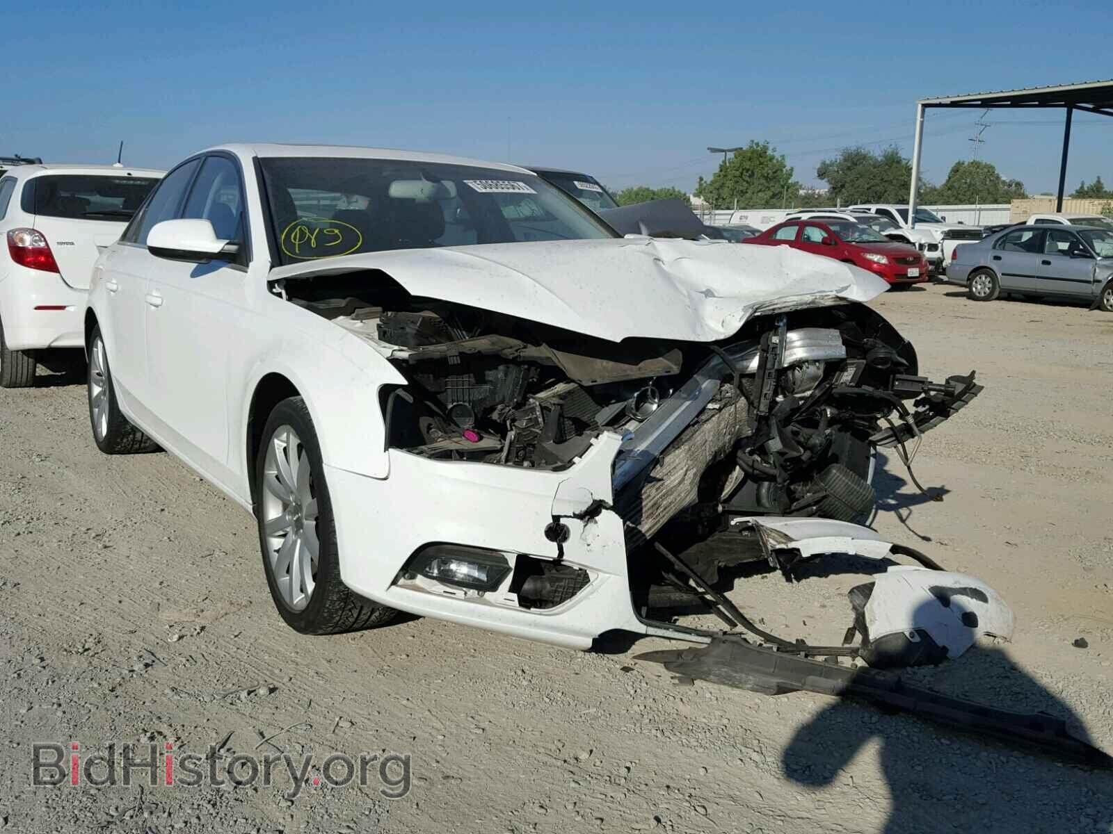 Фотография WAUEFAFL4DN033200 - AUDI A4 2013