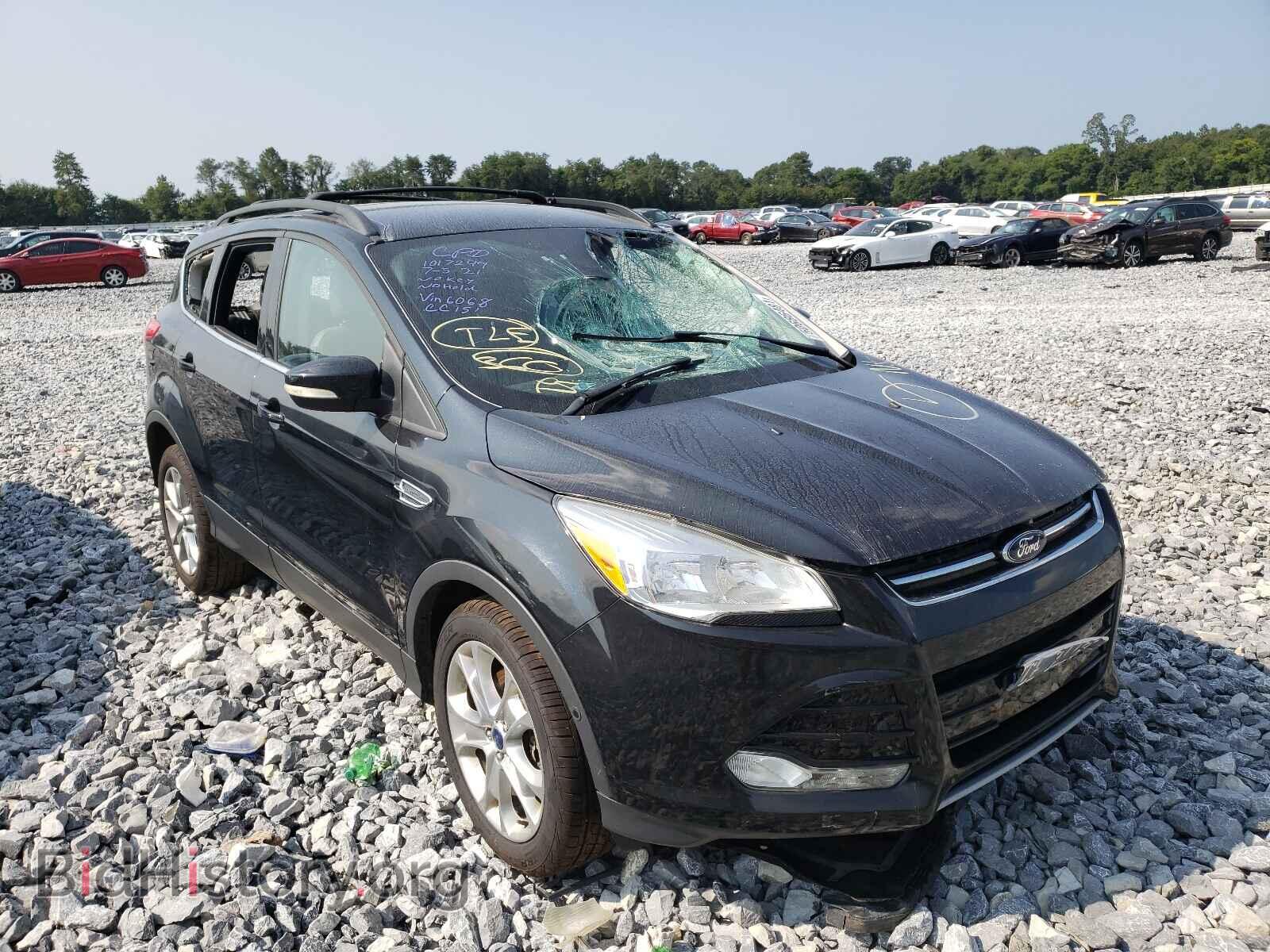 Photo 1FMCU0H94DUD36068 - FORD ESCAPE 2013