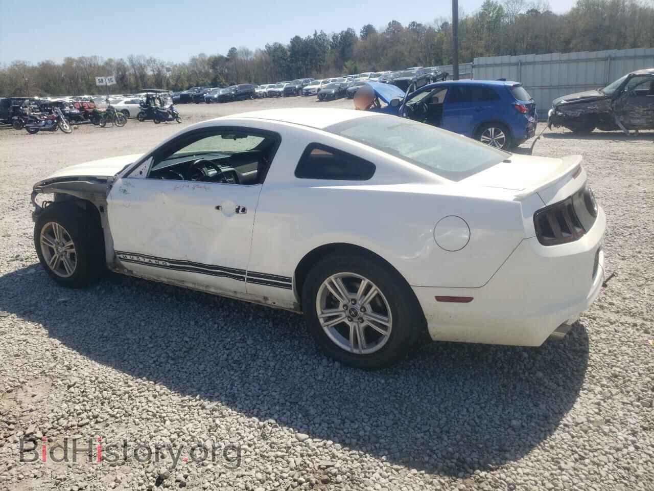 2013 FORD ALL Models - VIN: 1ZVBP8AM2D5223442 - Фото 2