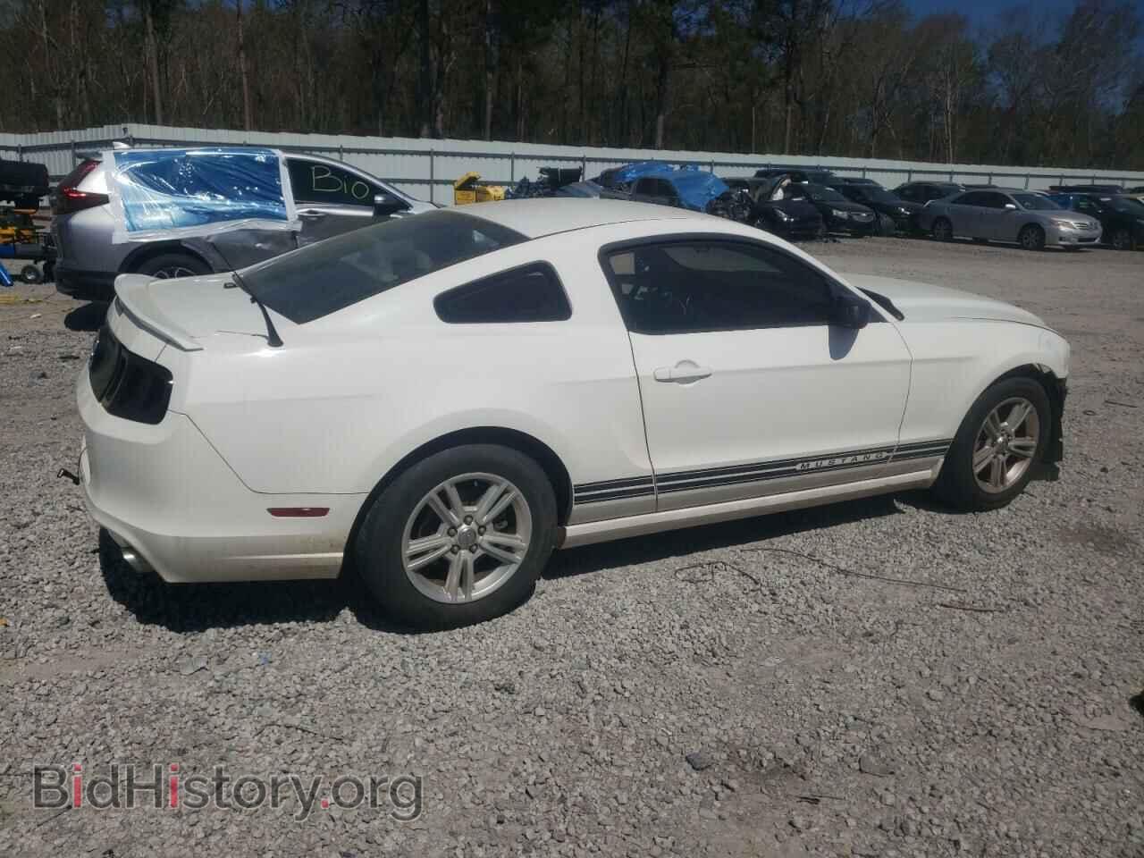 2013 FORD ALL Models - VIN: 1ZVBP8AM2D5223442 - Фото 3