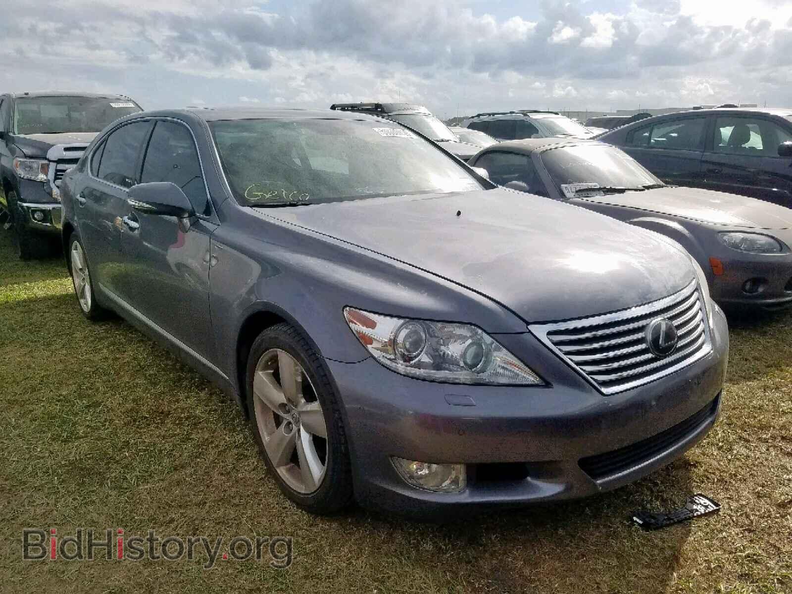 Фотография JTHGL5EF8C5045340 - LEXUS LS460 2012
