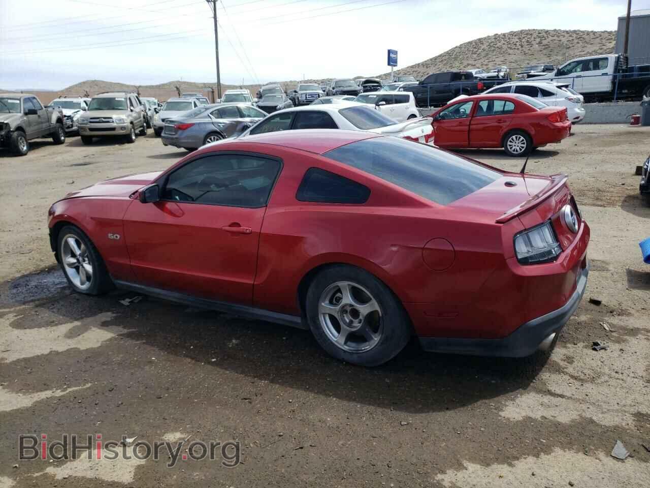 2011 FORD MUSTANG - VIN: 1ZVBP8CF1B5134182 - Фото 2