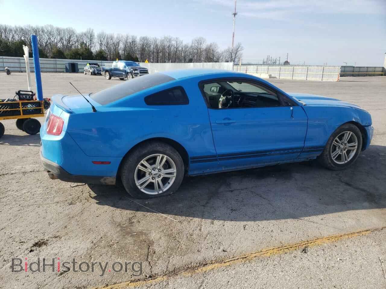 2010 FORD ALL Models - VIN: 1ZVBP8AN0A5130780 - Фото 3