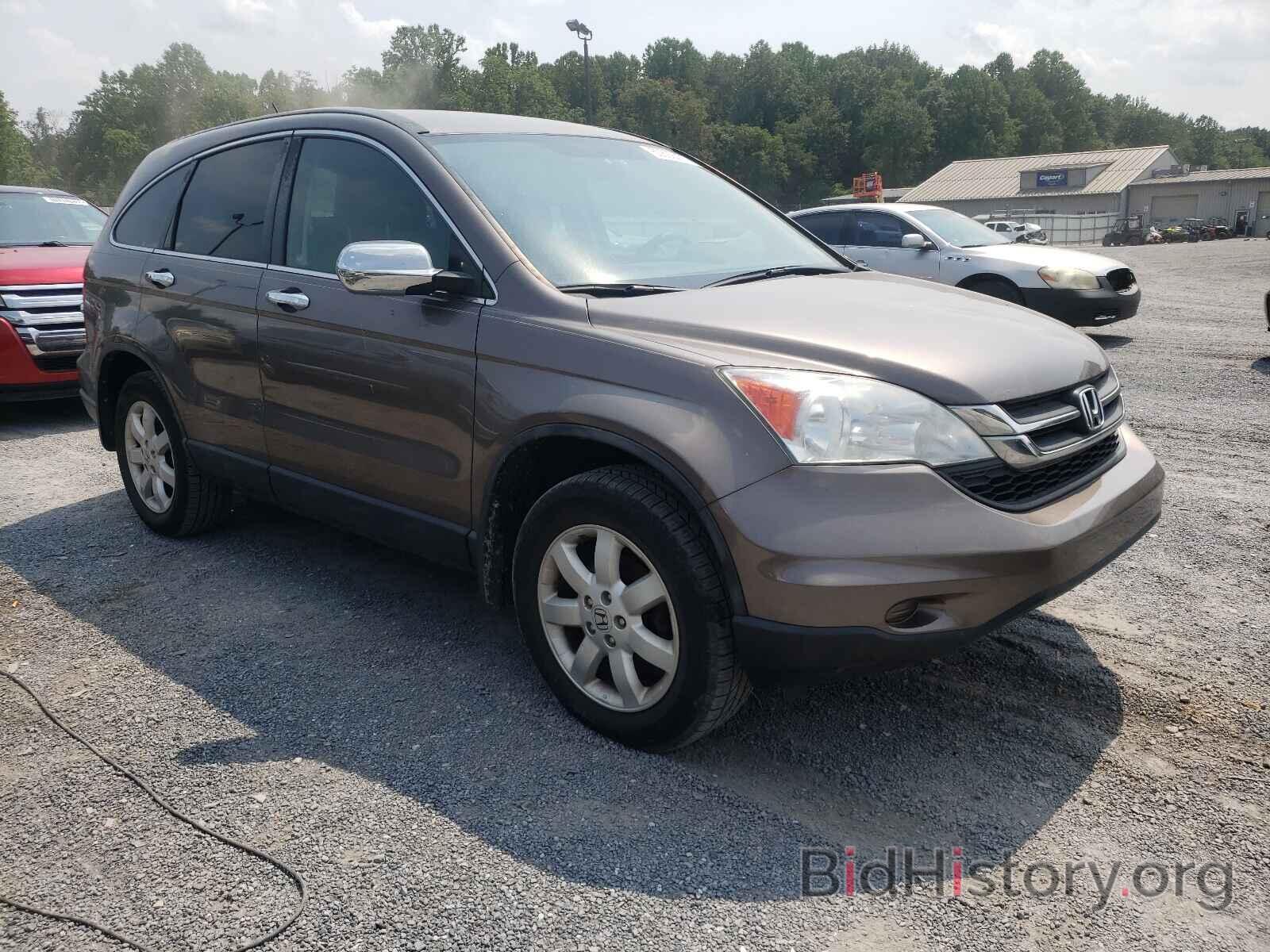 Photo 5J6RE4H41BL002651 - HONDA CRV 2011