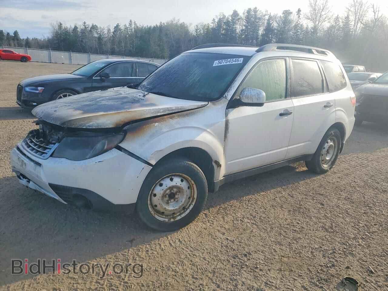 Photo JF2SHCBC1BH756579 - SUBARU FORESTER 2011