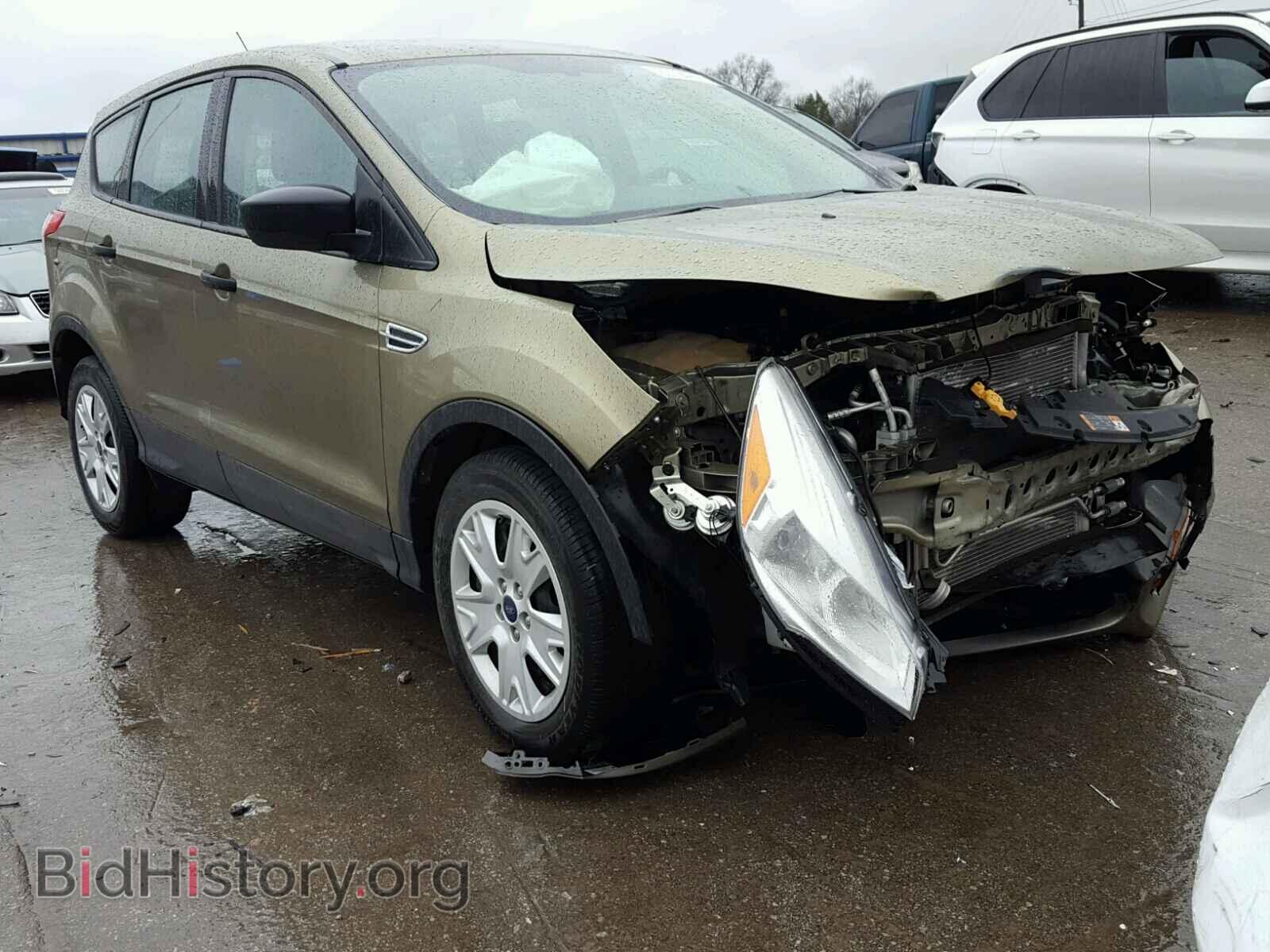 Photo 1FMCU0F71DUB50828 - FORD ESCAPE 2013