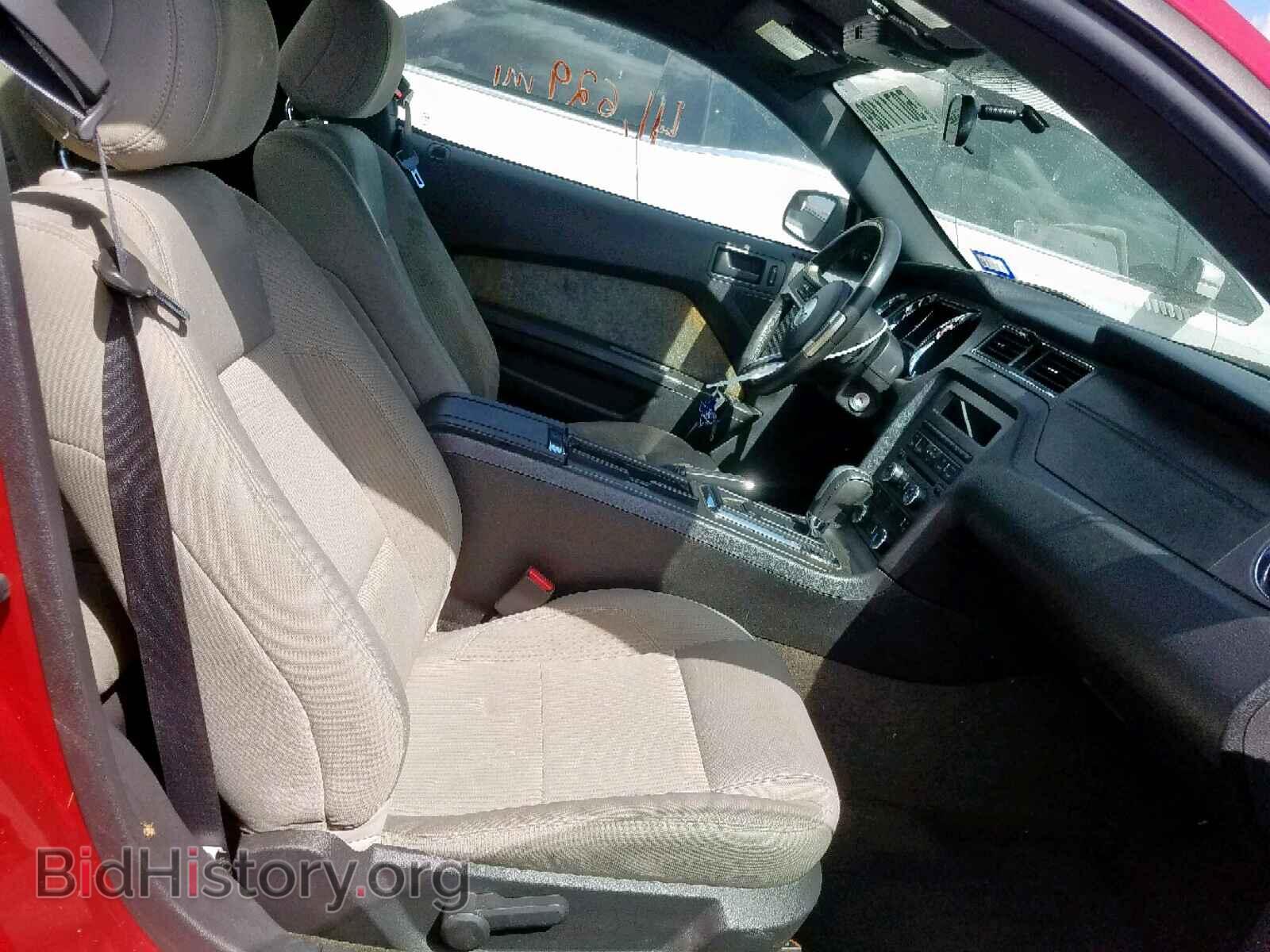 2013 FORD MUSTANG - VIN: 1ZVBP8AM6D5262082 - Фото 5