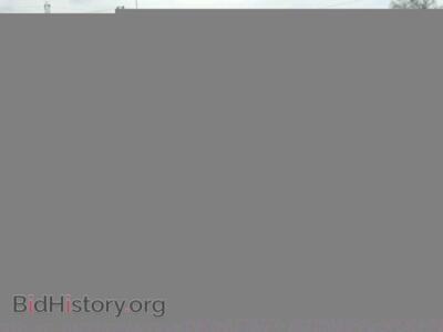 2014 Dodge CARAVAN Grand Cara, red — VIN 2C4RDGCG1ER320535, Copart