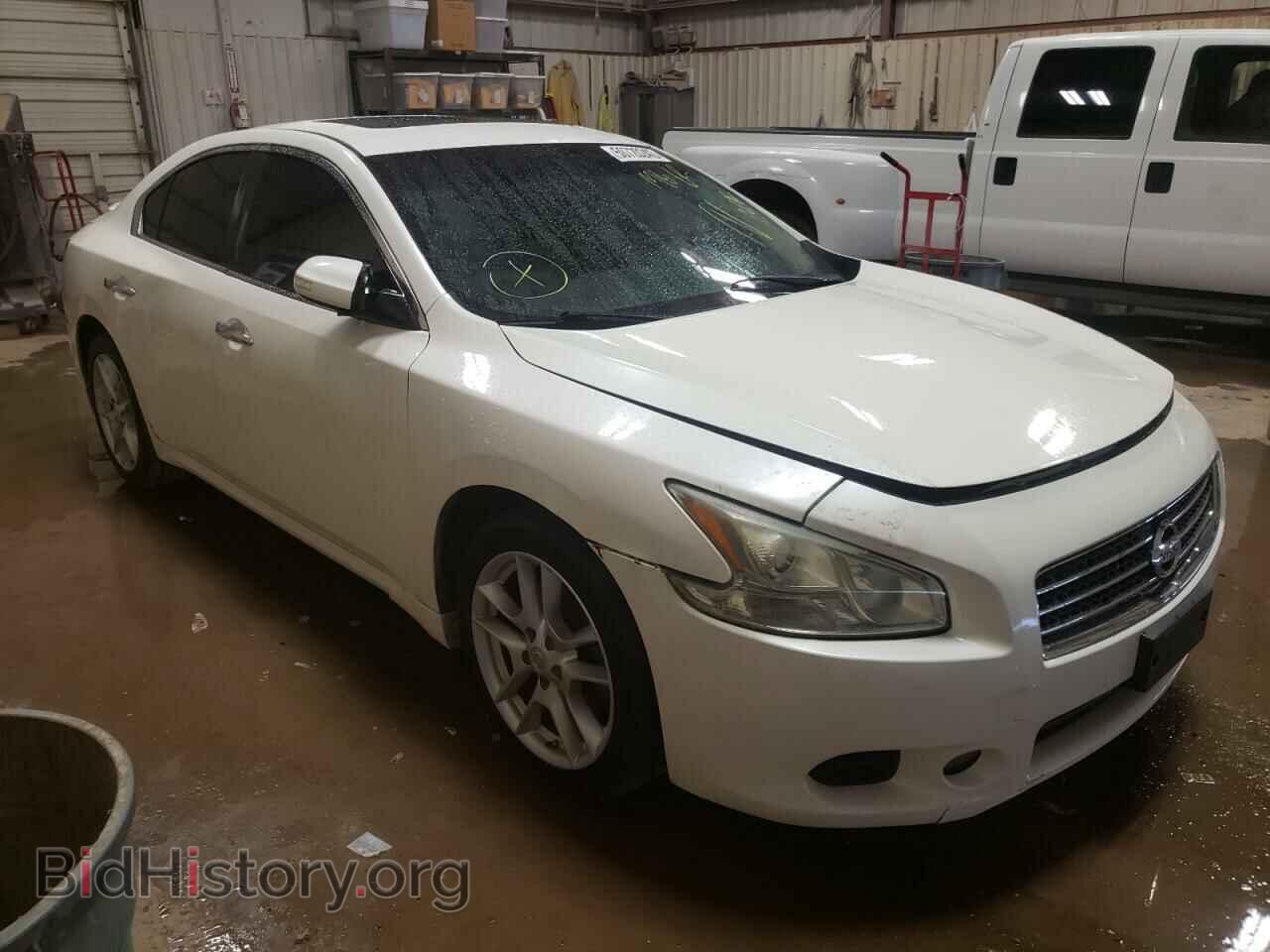 Фотография 1N4AA5APXBC840272 - NISSAN MAXIMA 2011