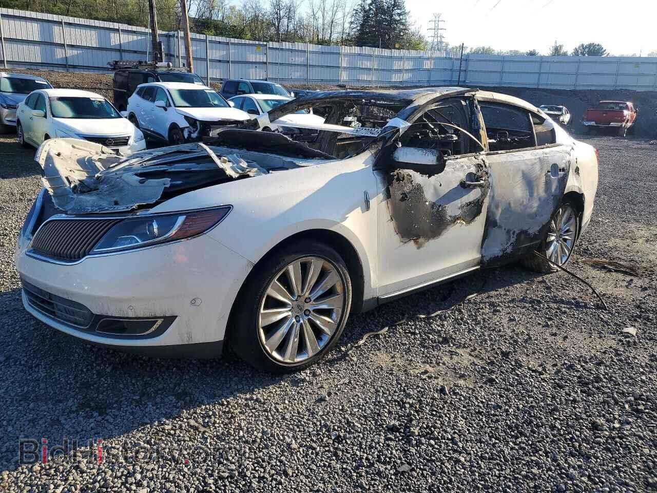 Photo 1LNHL9FT8DG612097 - LINCOLN MKS 2013