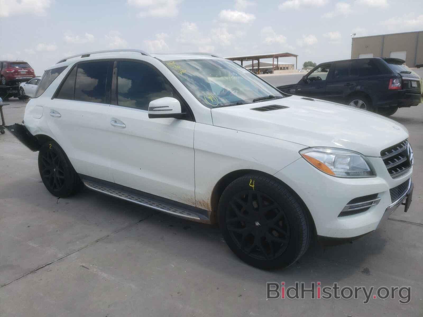 Photo 4JGDA5JB5DA167168 - MERCEDES-BENZ M-CLASS 2013