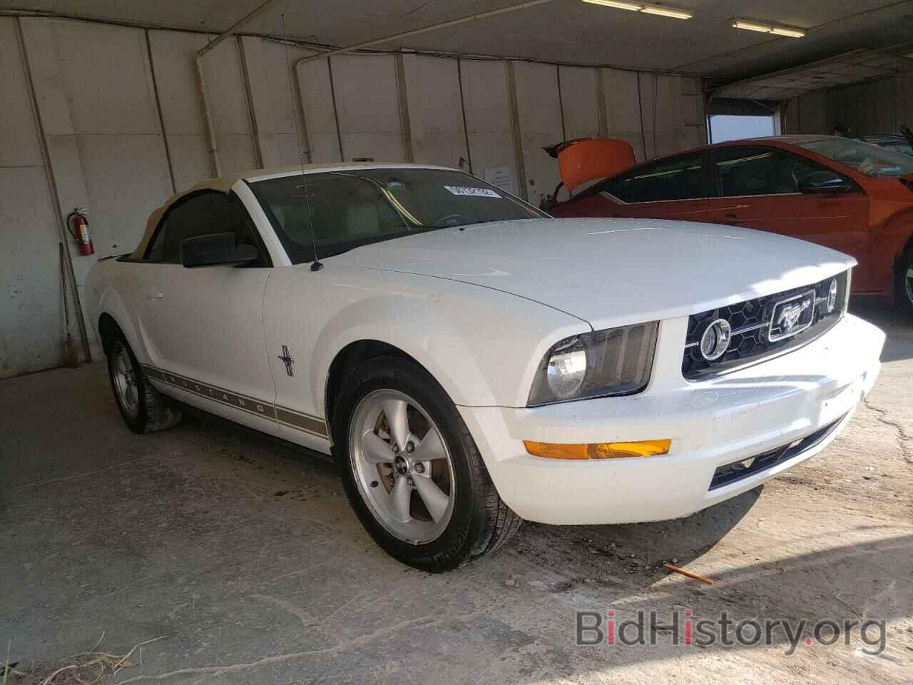 Photo 1ZVHT84N485147853 - FORD MUSTANG 2008