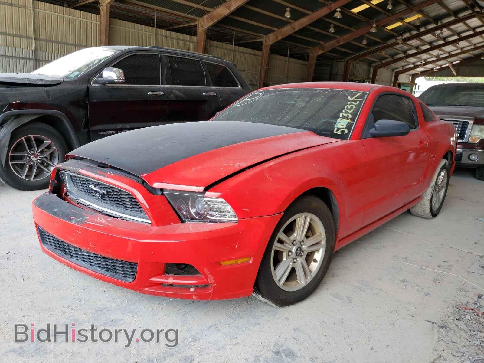 2013 FORD MUSTANG - VIN: 1ZVBP8AMXD5223611 - Фото 2