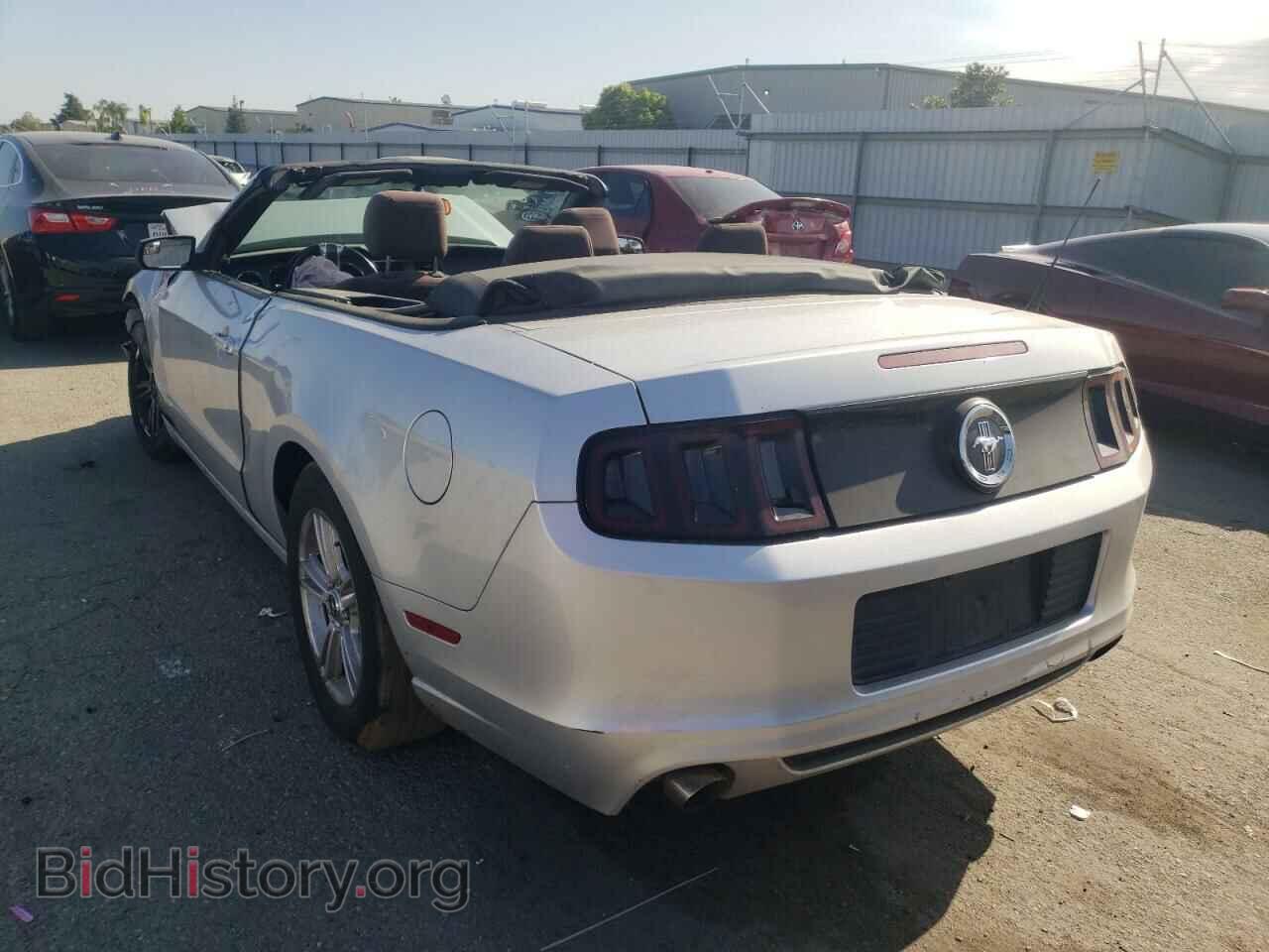 2013 FORD MUSTANG - VIN: 1ZVBP8EM0D5221859 - Фото 3