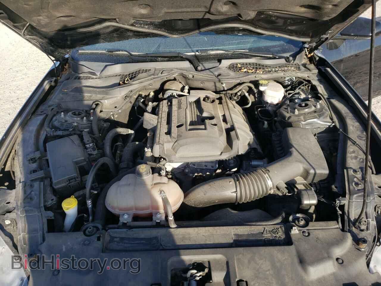 2019 FORD MUSTANG - VIN: 1FA6P8TH1K5196256 - Фото 7