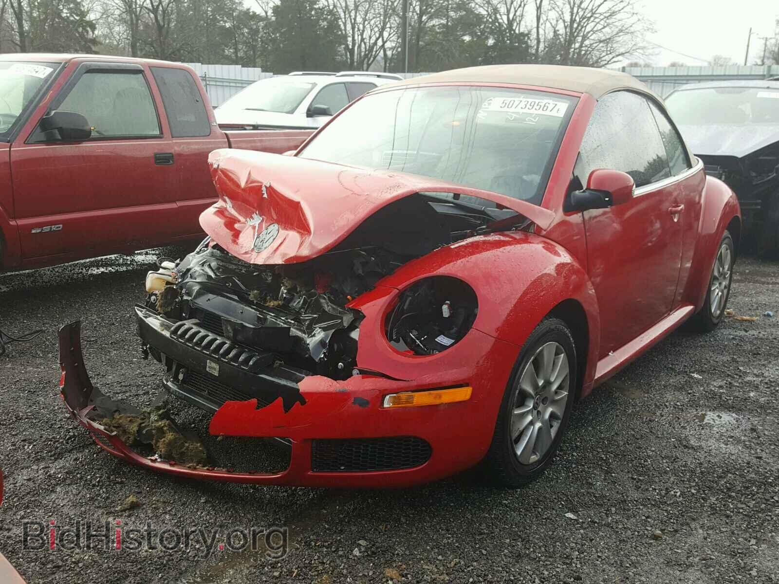 2008 VOLKSWAGEN BEETLE - VIN: 3VWPF31Y58M404355 - Фото 2