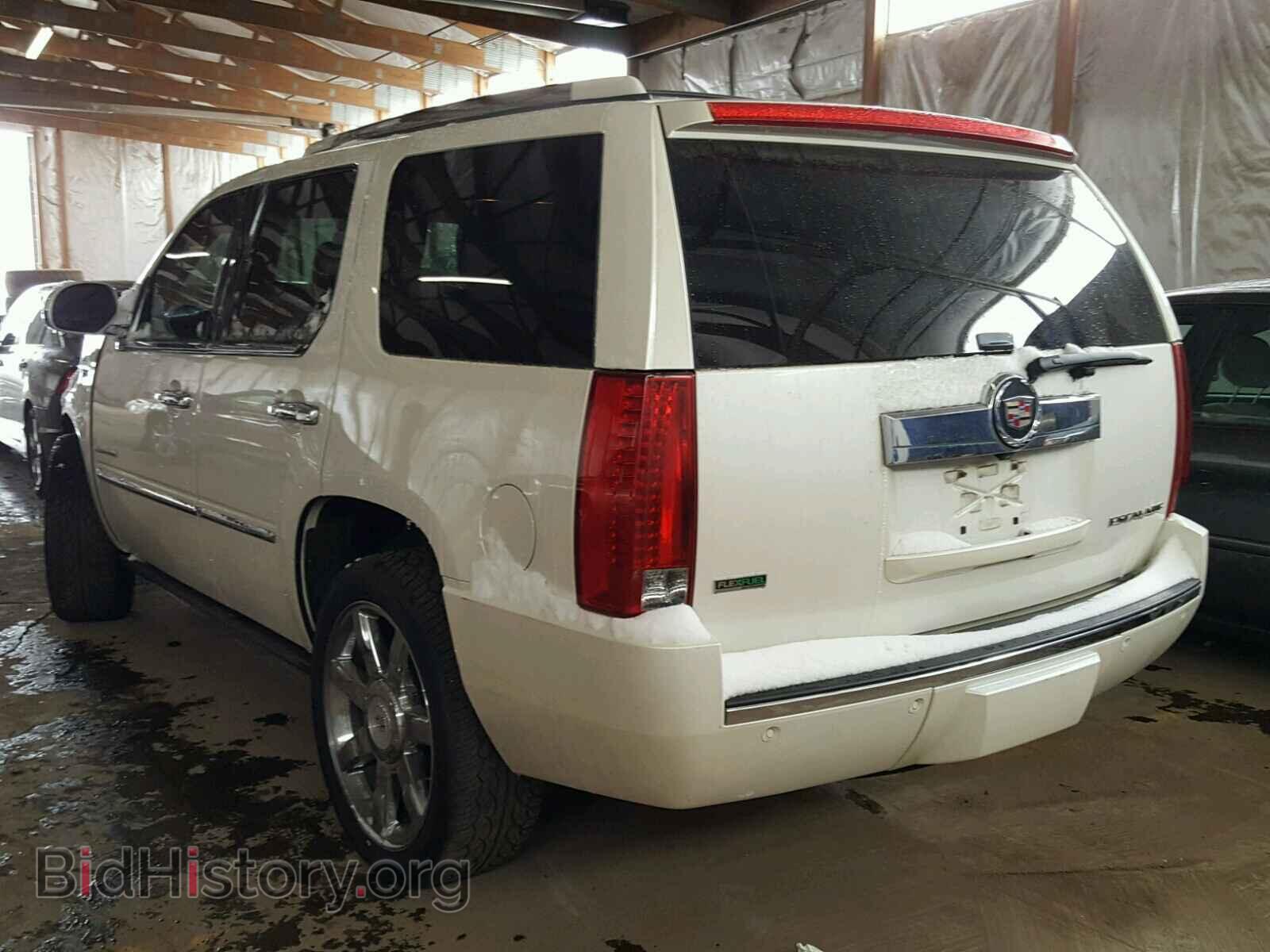 2011 CADILLAC ESCALADE - VIN: 1GYS4CEF5BR114581 - Фото 3