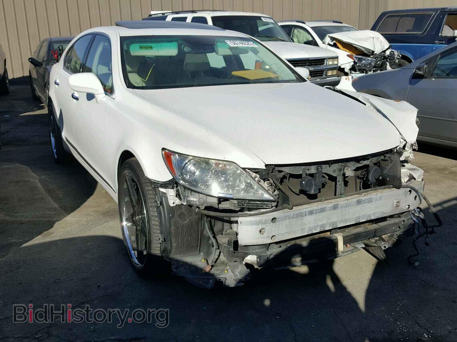 Фотография JTHBL46F285066405 - LEXUS LS460 2008