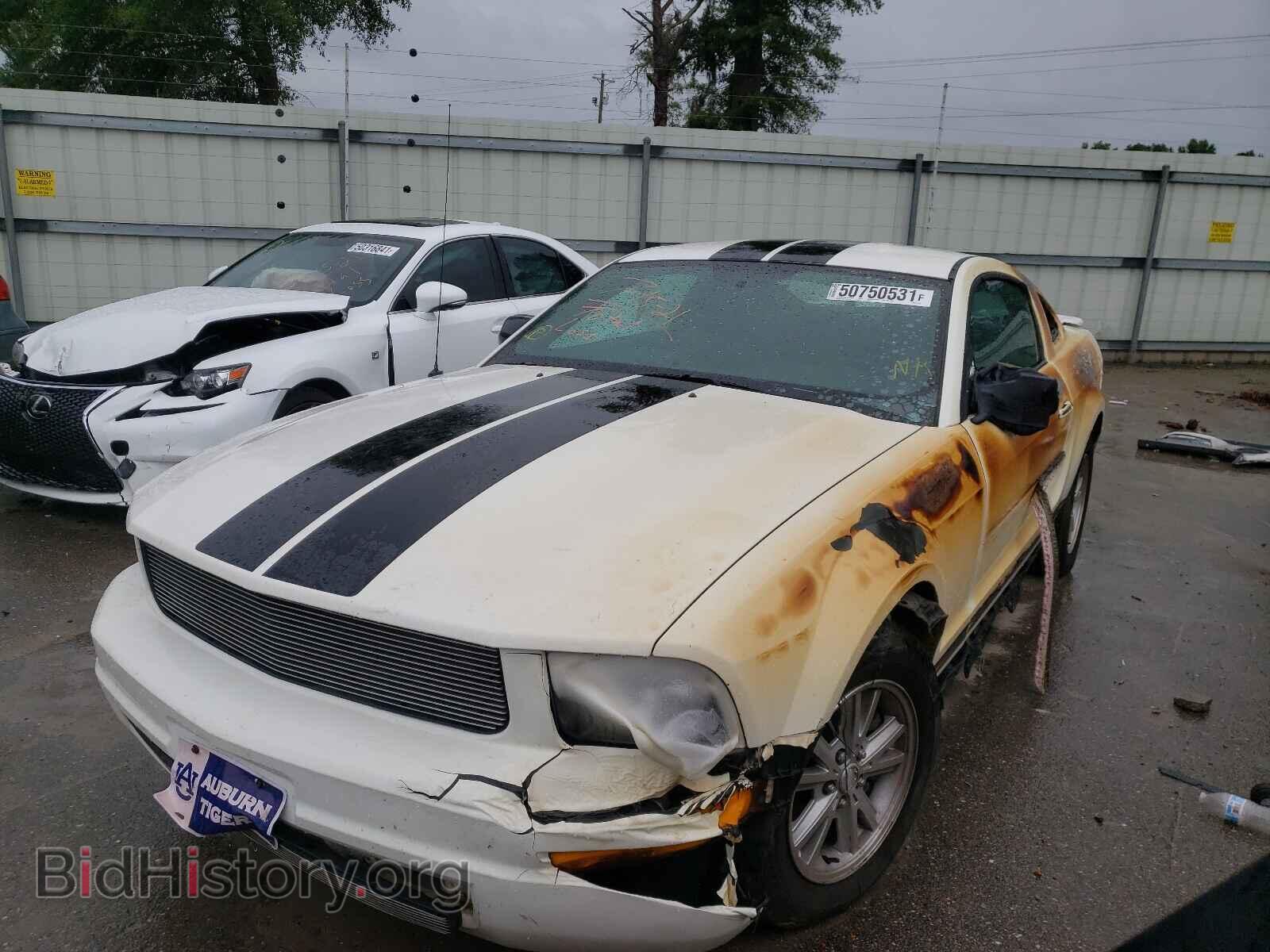 2007 FORD MUSTANG - VIN: 1ZVFT80NX75347101 - Фото 2
