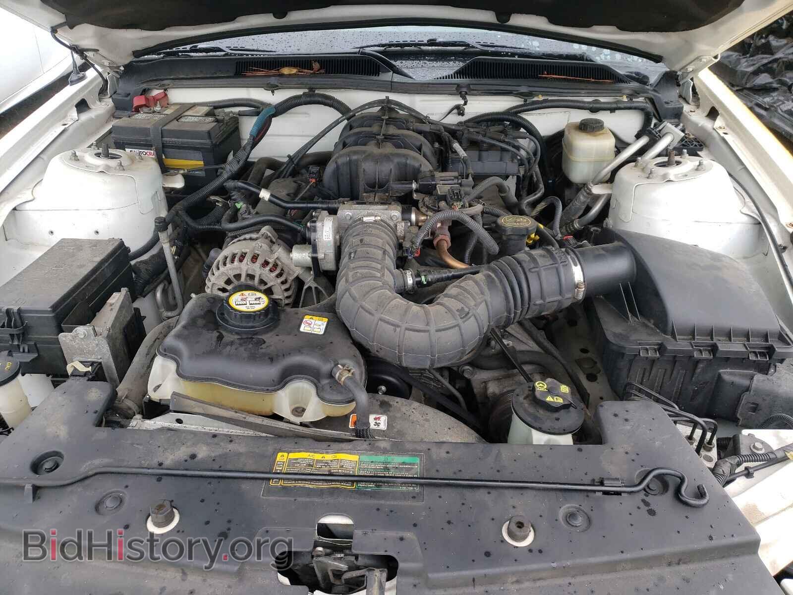 2007 FORD MUSTANG - VIN: 1ZVFT80NX75347101 - Фото 7