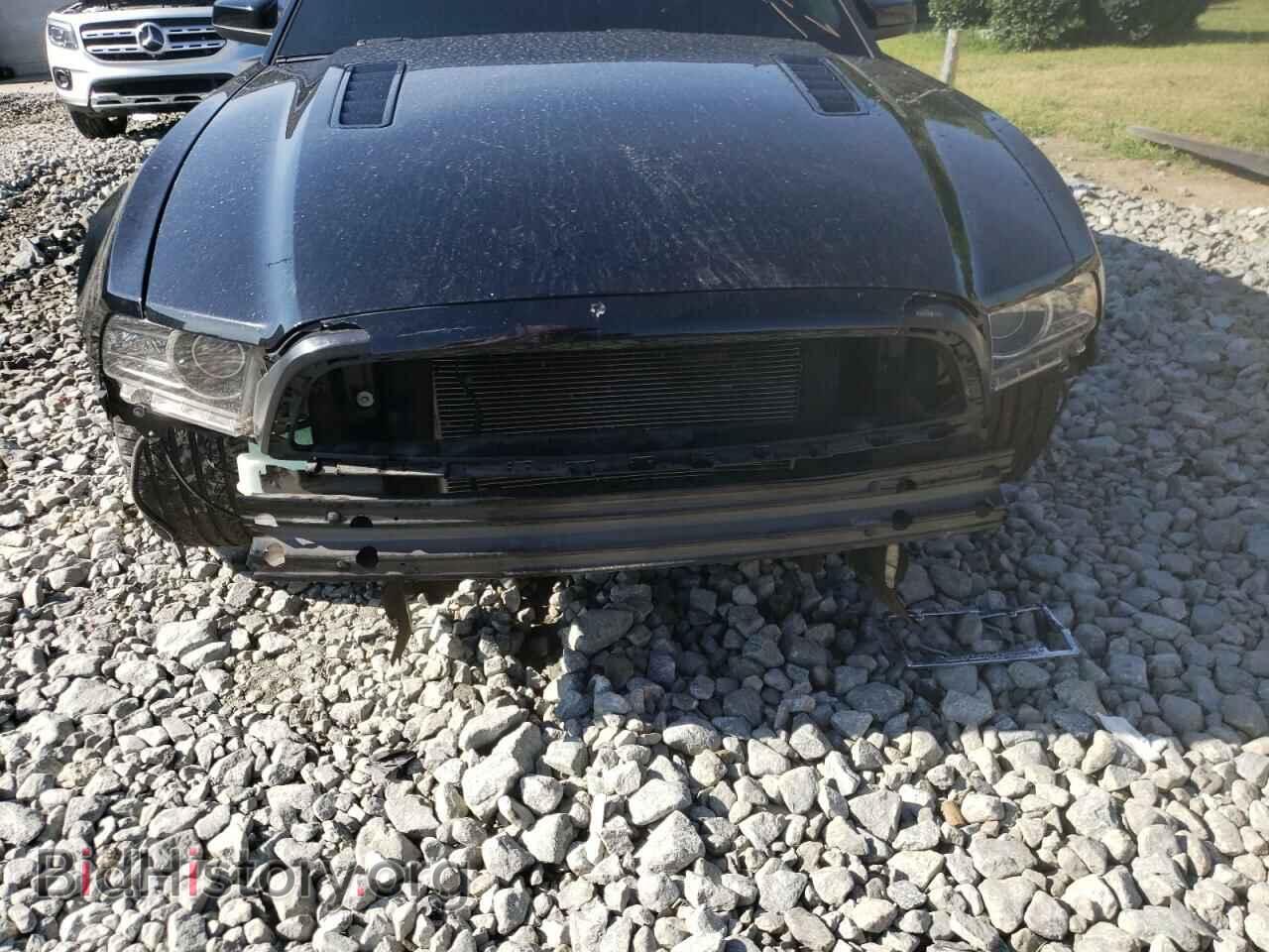 2014 FORD MUSTANG - VIN: 1ZVBP8CF0E5295692 - Фото 9