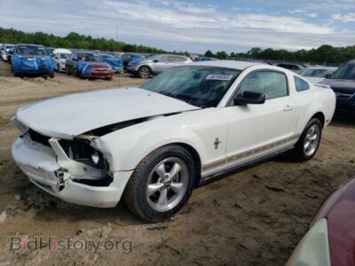 2007 Ford ALL MODELS, white — VIN 1ZVFT80N075341646, Copart