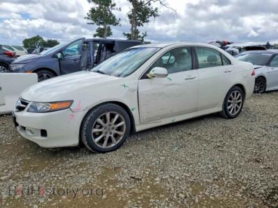 2006 Acura TSX, белый — VIN JH4CL96996C029260, Copart