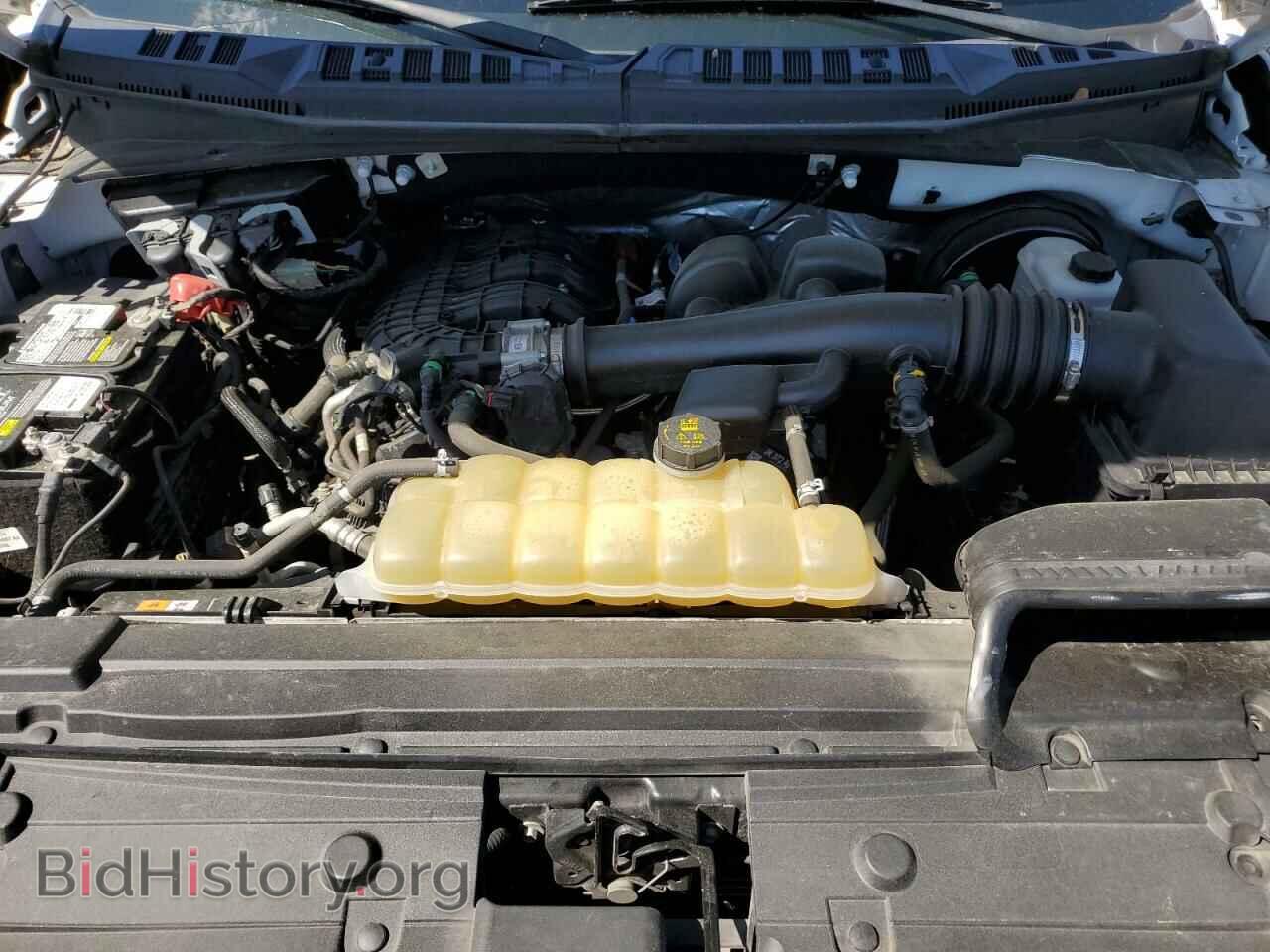2019 FORD All Models - VIN: 1FTMF1CB3KKF33325 - Фото 11