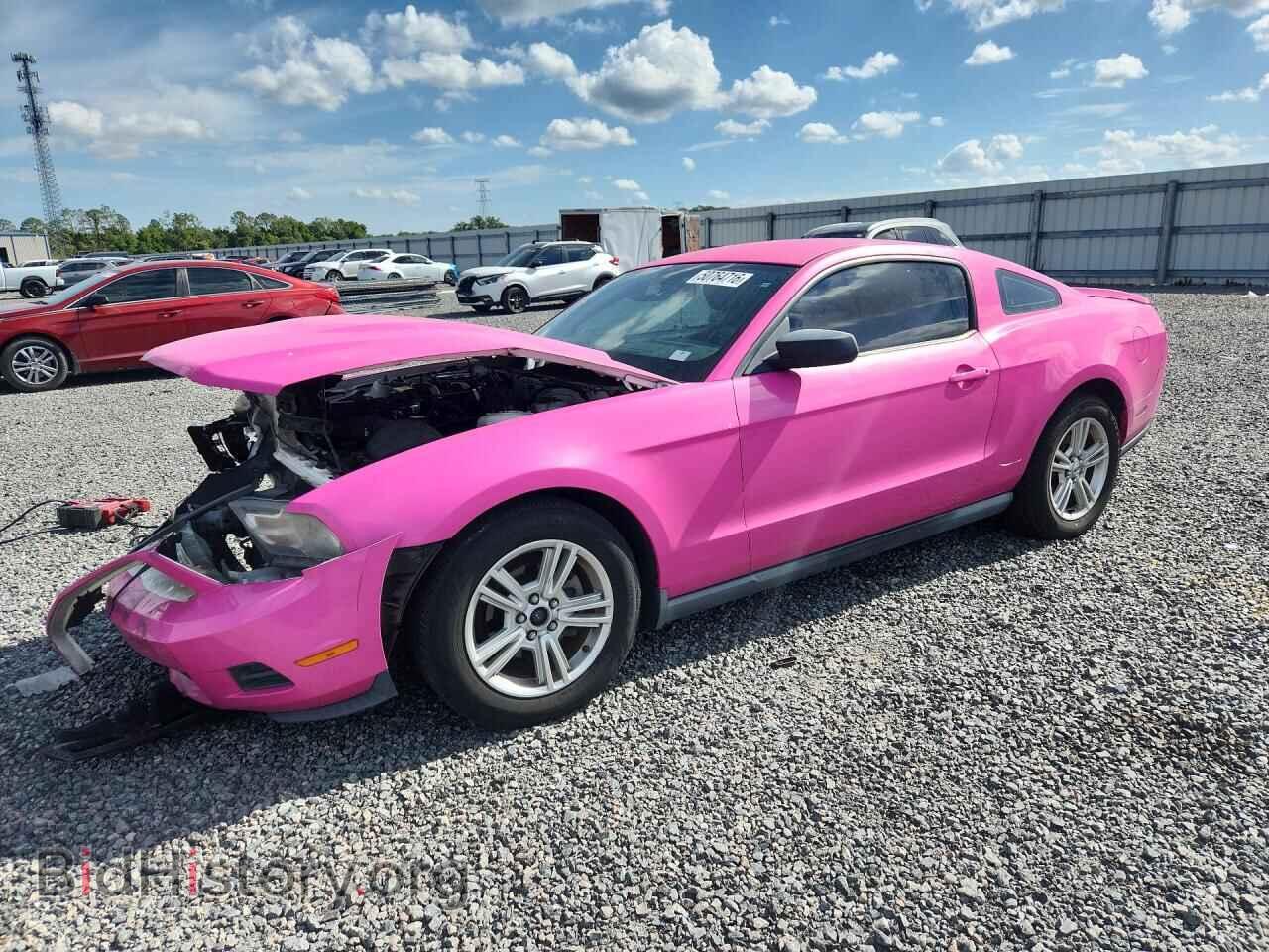 Фотография 1ZVBP8AN8A5133359 - FORD MUSTANG 2010