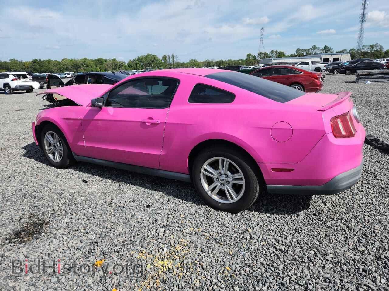 2010 FORD MUSTANG - VIN: 1ZVBP8AN8A5133359 - Фото 2