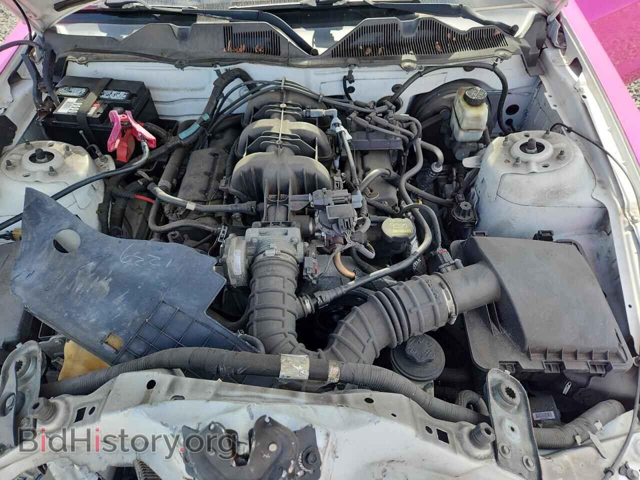2010 FORD MUSTANG - VIN: 1ZVBP8AN8A5133359 - Фото 11