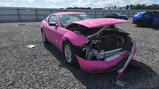 2010 FORD MUSTANG - VIN: 1ZVBP8AN8A5133359 - Фото 13