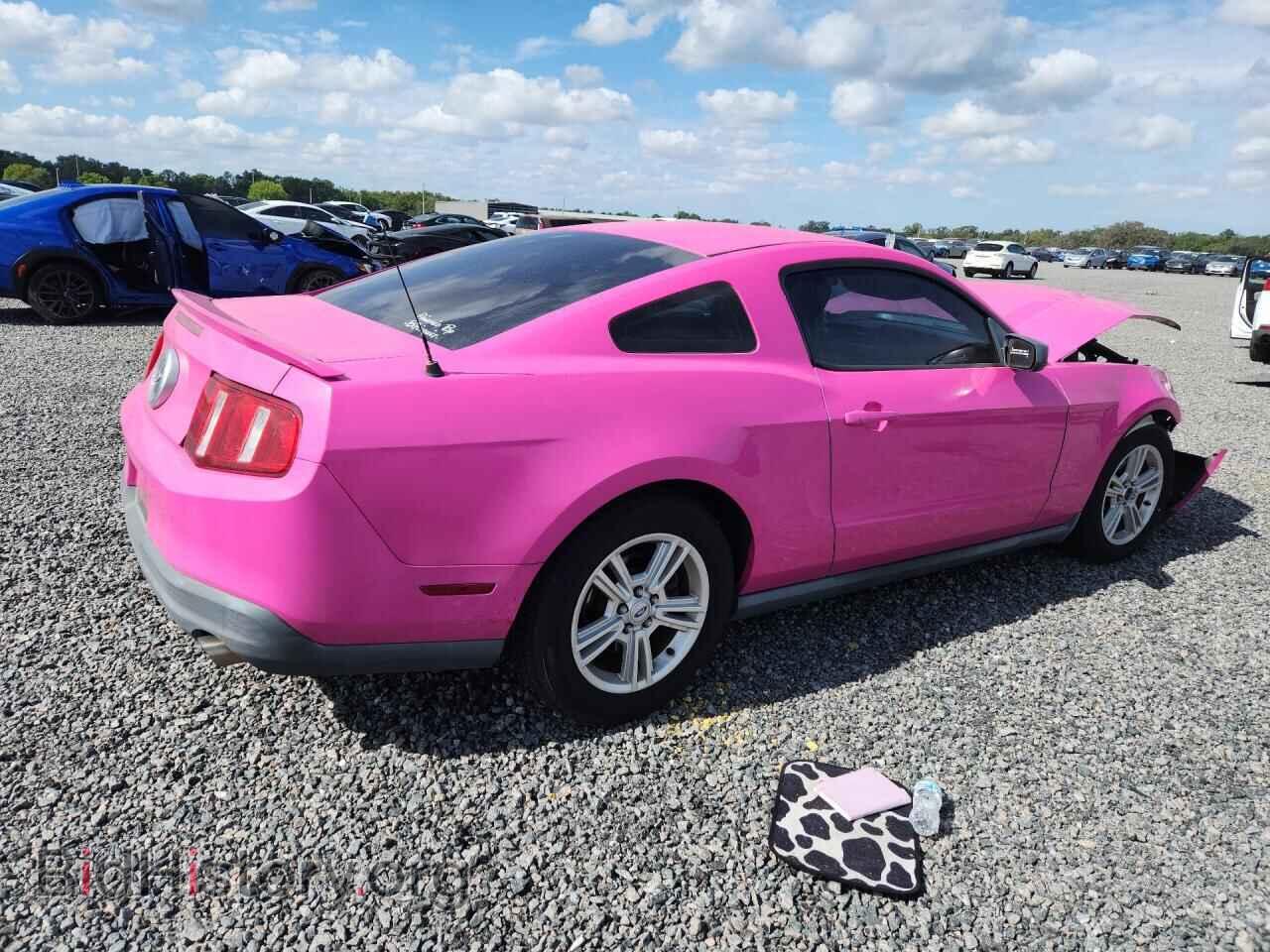 2010 FORD MUSTANG - VIN: 1ZVBP8AN8A5133359 - Фото 3