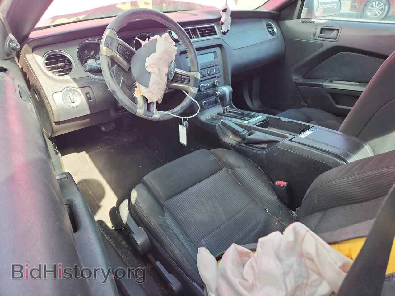 2010 FORD MUSTANG - VIN: 1ZVBP8AN8A5133359 - Фото 8
