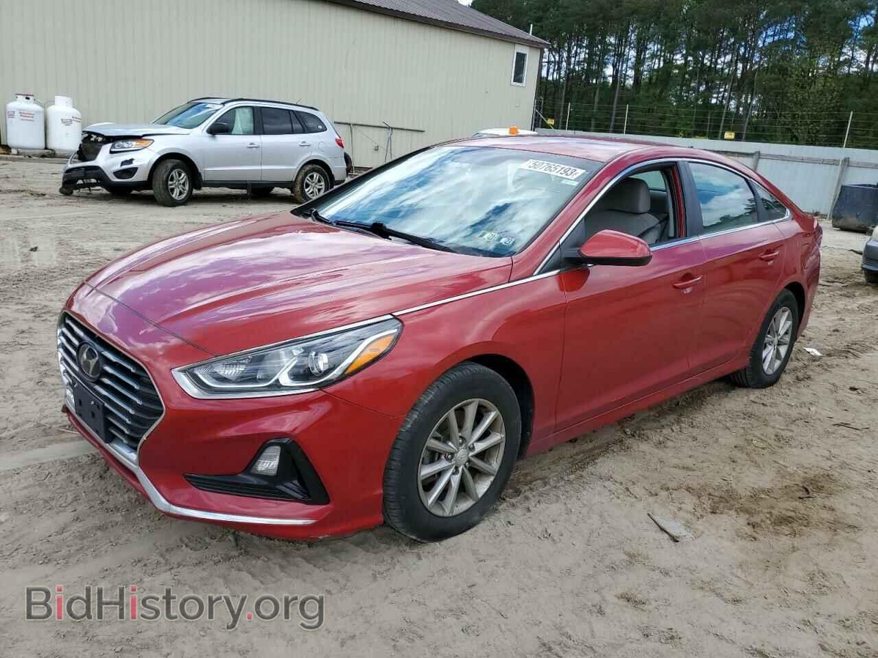 Photo 5NPE24AF7KH776769 - HYUNDAI SONATA 2019
