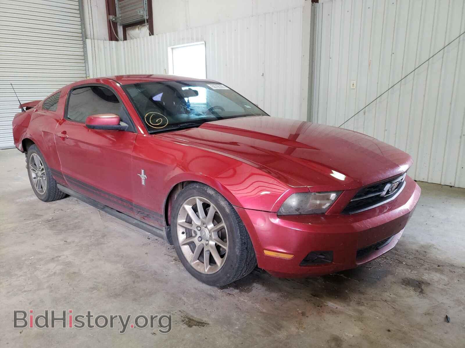 Фотография 1ZVBP8AN0A5118533 - FORD MUSTANG 2010