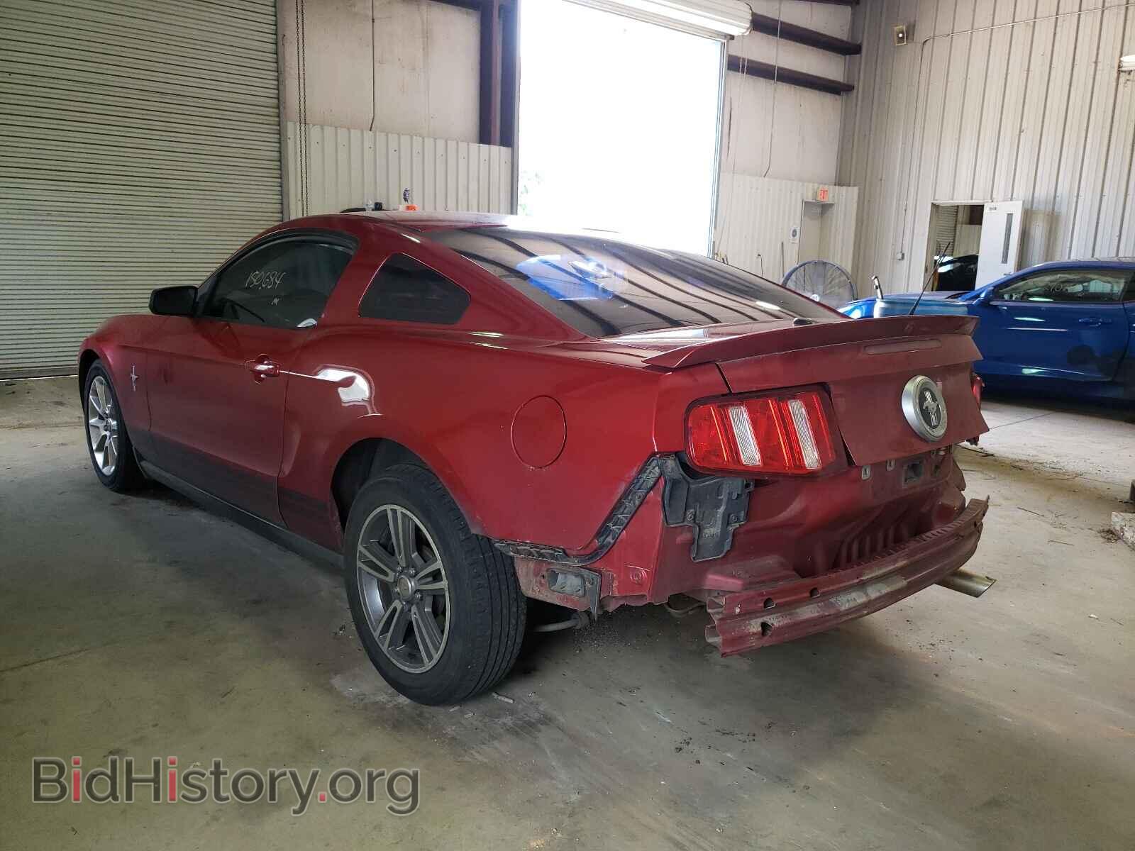 2010 FORD MUSTANG - VIN: 1ZVBP8AN0A5118533 - Фото 3