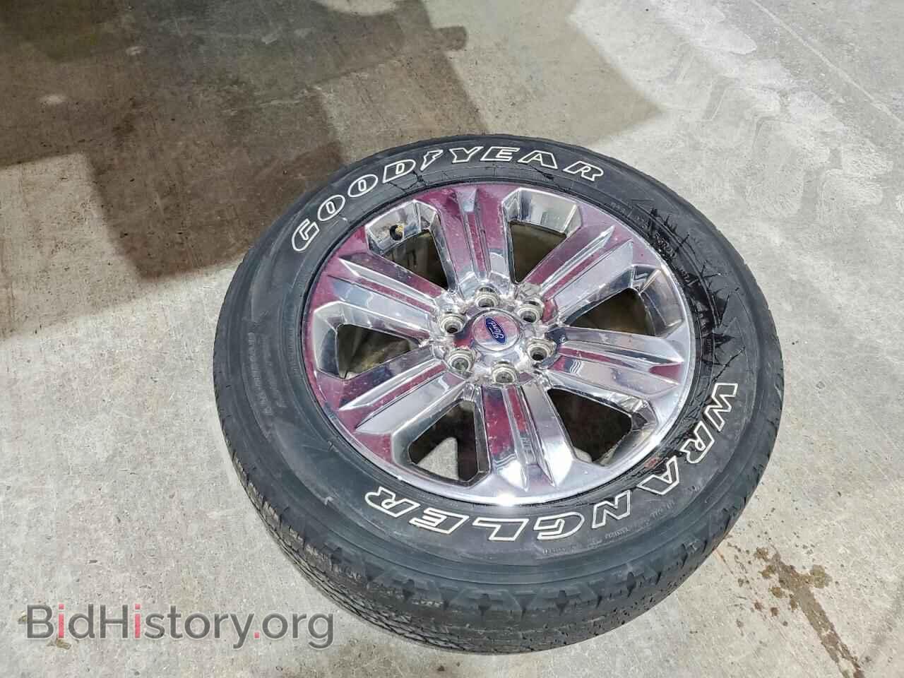2019 FORD F150 - VIN: 1FTEW1E49KFC59740 - Фото 12
