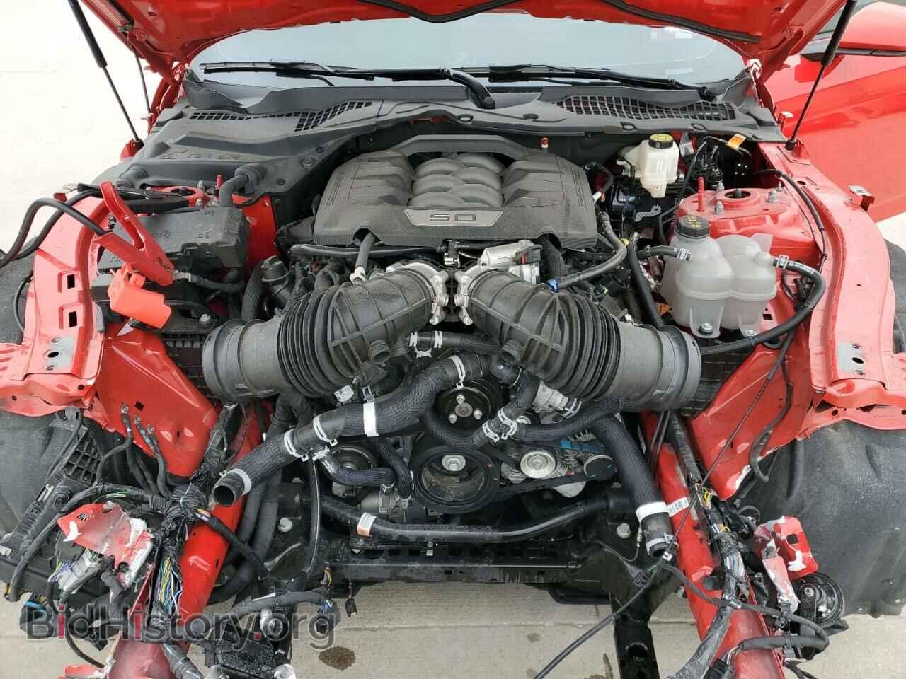 2024 FORD MUSTANG - VIN: 1FA6P8CF5R5404003 - Фото 11