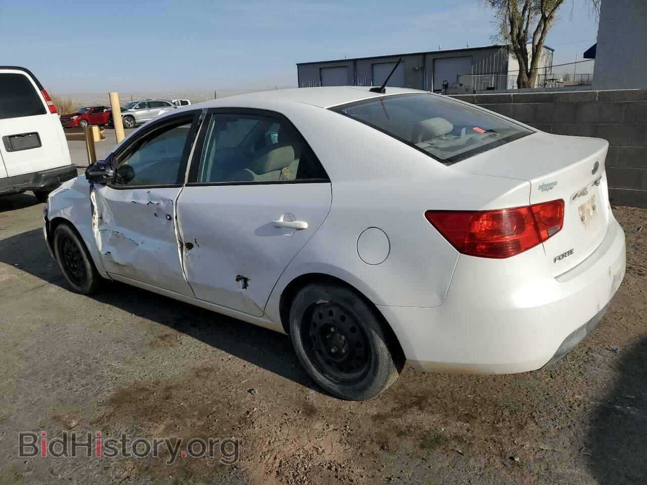 2011 KIA FORTE - VIN: KNAFU4A28B5891289 - Фото 2