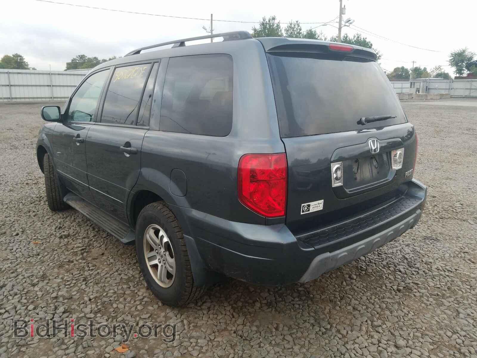 2005 HONDA PILOT - VIN: 5FNYF18675B056381 - Фото 3