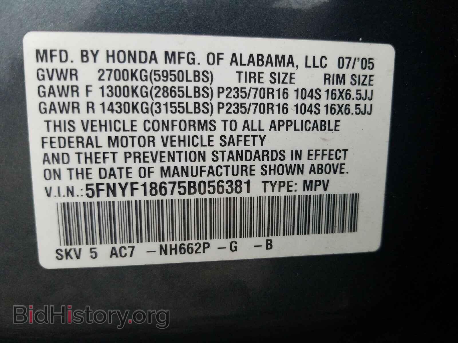 2005 HONDA PILOT - VIN: 5FNYF18675B056381 - Фото 10