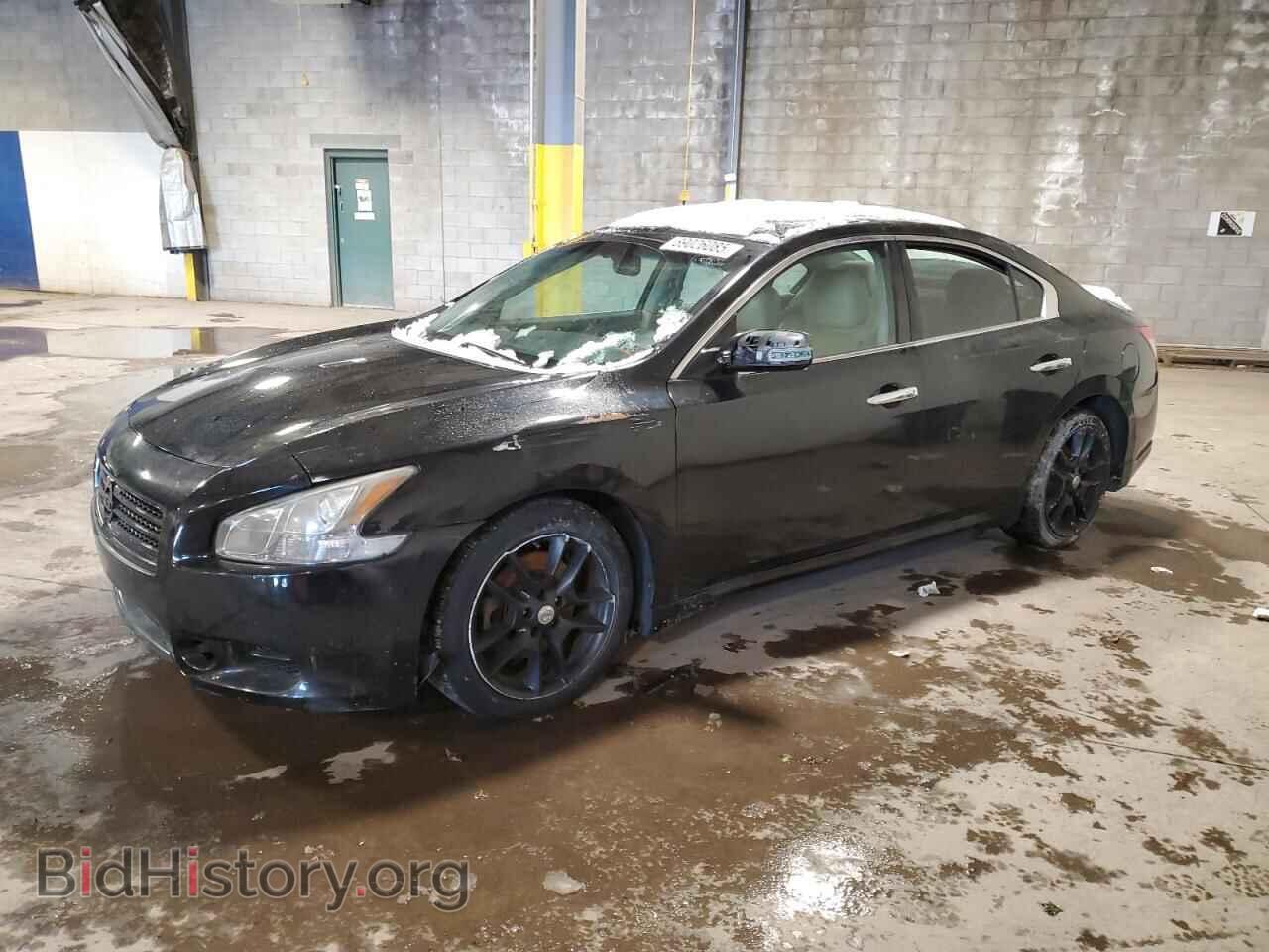Photo 1N4AA5AP9AC815023 - NISSAN MAXIMA 2010
